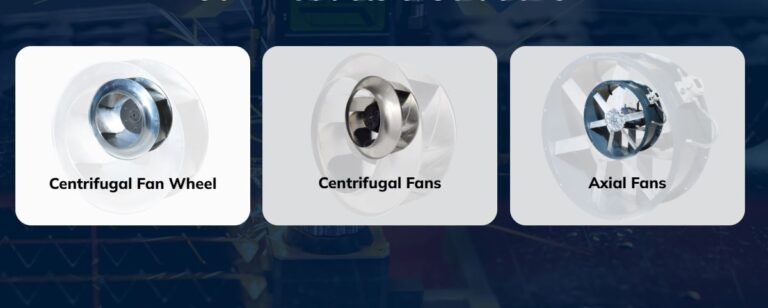 WhatsApp Image 2025 07 31 at 3.28.10 PM 768x308